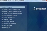 如何使用PE装载深度系统（一步步教你用PE安装深度系统）