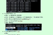 Linux基本命令之目录操作（掌握Linux目录操作，轻松管理文件与目录结构）