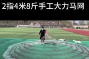 米王手机的品质与性能如何？（一探米王手机的关键特点与用户体验）