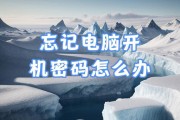 忘记台式电脑开机密码怎么办（解决忘记台式电脑开机密码的方法及注意事项）