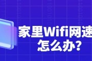 提高家里wifi的网速的方法（新手也能轻松上手，让你的家庭网络飞起来）