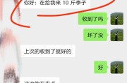 李子言（揭开李子言背后的谜团与争议）