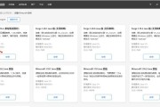 《玩转电脑版Minecraft教程》（助你成为游戏大神的秘籍）