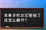 如何验证苹果手机的正品性？（简单有效的方法帮你鉴别苹果手机的真伪）