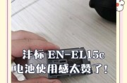 沣标移动电源的优势与特点（打造便携式高品质充电体验）
