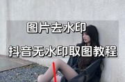 快速去除PDF水印的方法（简单有效的PDF水印去除技巧）