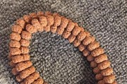 金刚一号（探索和成就在中国航天史上的关键作用）