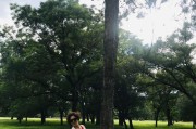 丫丫手机——一款引领时尚潮流的手机（领航时尚，丰富多彩的丫丫手机）