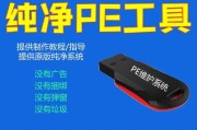 U盘PE启动教程（手把手教你利用U盘进行PE启动，轻松应对系统故障和数据恢复）