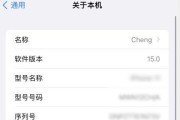 如何通过序列号查询苹果手机的相关信息（掌握如何准确查找苹果手机序列号以获取详细信息）