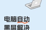 解决电脑双屏一个显示一个黑屏的问题（如何处理双屏显示中出现的黑屏情况）