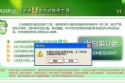 大白菜启动盘5.2教程（使用大白菜启动盘5.2，轻松解决系统崩溃和数据丢失的问题）
