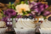 顶尖数据恢复教程（数据恢复专家分享实用技巧，让您不再担心数据丢失）