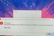 电脑显示信息错误的常见问题及解决方法（探寻电脑显示异常的根源，为您提供有效解决方案）