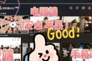 电脑播放器无声音问题的解决方法（探索电脑播放器声音消失的原因及应对措施）