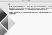 使用苹果U盘安装Win10系统教程（详细步骤图文指南，助你成功安装Windows10系统）