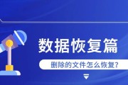 电脑文件误删除怎么恢复？（简单有效的文件恢复方法和技巧）