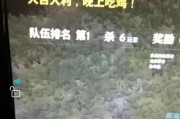 揭秘电脑版全军出击的错误之谜（背后原因及影响分析，打破迷思）