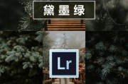 LR电脑人像调色教程——让你的照片更生动灵动（从零基础到高级调色，轻松掌握Lightroom的技巧与窍门）