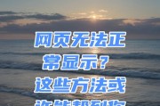 电脑不能上网的问题及解决技巧（网络连接故障、网络配置错误、网络安全设置等问题的解决方法）