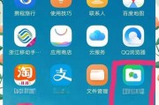 揭秘隐藏文件的秘密（探索隐藏文件的方法及技巧）