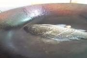 萝卜系统盘安装教程（轻松操作，快速安装，带你玩转萝卜系统盘）