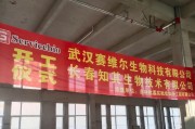 U6750航班的服务质量如何？（一次关于U6750航班的全面评价）