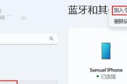 电脑使用iPhone网络教程（轻松实现电脑与iPhone的网络共享）