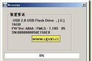 低格U盘硬盘教程（学会使用低格U盘硬盘，轻松扩展存储容量）