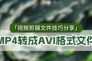 全面了解AMV格式转换工具及使用技巧（掌握AMV格式转换工具，轻松处理多媒体文件）