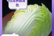 大白菜系统教程（掌握大白菜系统，成为专家）