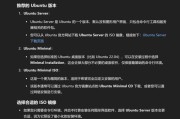 Win10与黑苹果双系统安装教程（详细步骤教你实现Win10与黑苹果双系统安装）