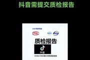 电脑登录抖音验证码错误解决方法（探究电脑登录抖音时遇到验证码错误的原因及解决方案）