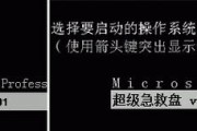 使用UEFI优盘轻松装系统（教你如何使用UEFI优盘快速安装操作系统）