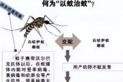 消灭蚊子，构建无蚊生活（灭蚊攻略和科学防蚊方法，）