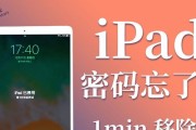 如何清理苹果iPad平板中的垃圾文件（简单有效的垃圾清理方法及技巧）
