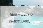 U盘破解密码教程（利用U盘进行密码破解的方法与技巧）