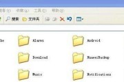 电脑E盘密码错误解决办法（如何解决电脑E盘密码错误问题）